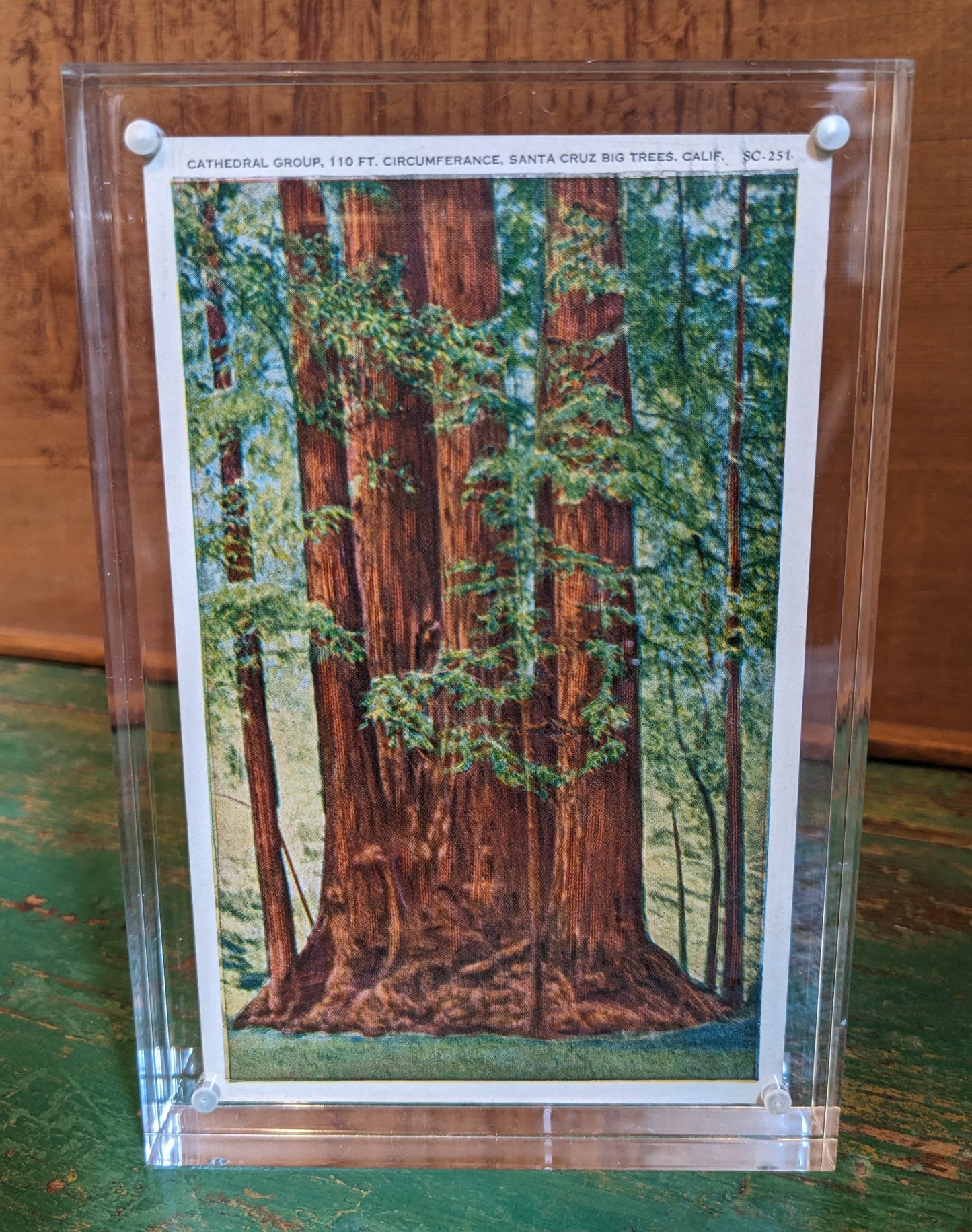 Antique Postcard: Cathedral Group