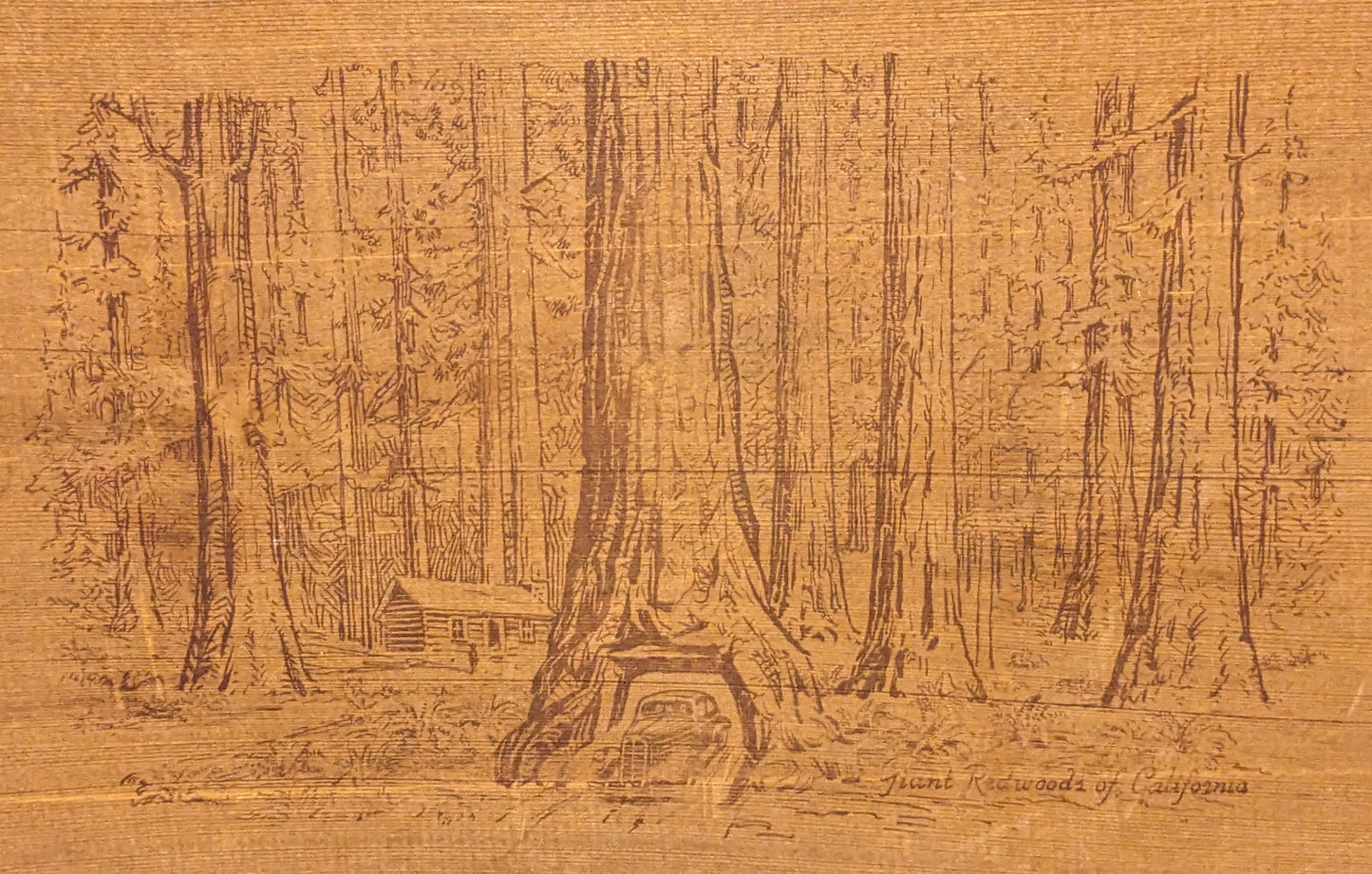 Antique Redwood Tray