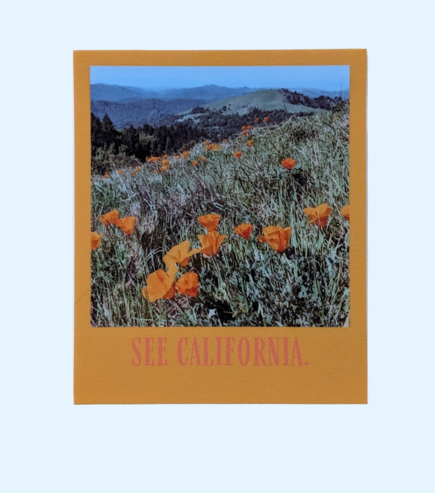 Orange bordered sticker of photo of poppy field in California with the words: See California.