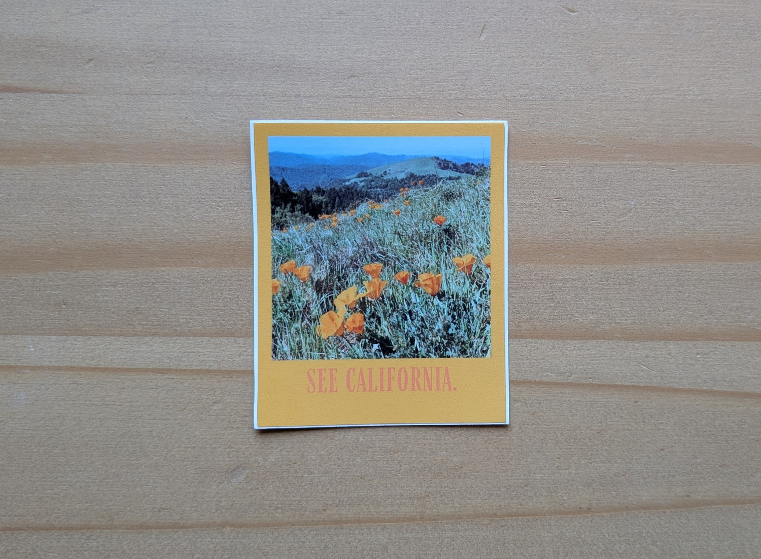 Orange bordered sticker of photo of poppy field in California with the words: See California with wood background