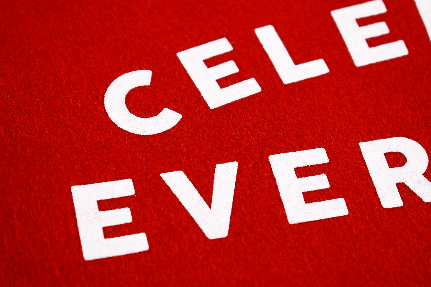 Close-up on letters in Celebrate Everything pennant