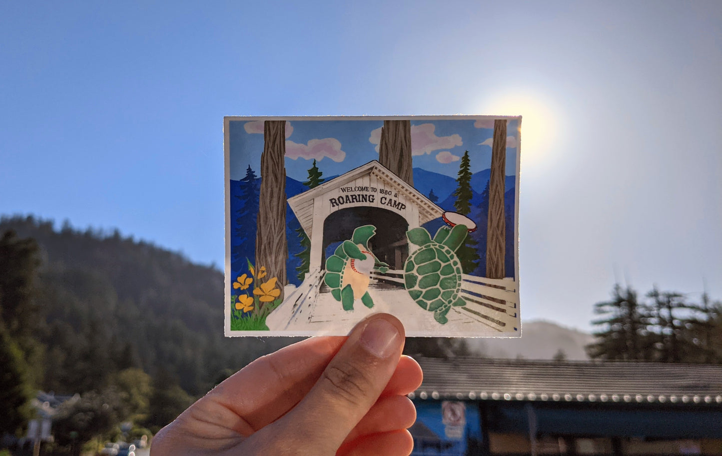 Terrapin SLV sticker held up outside