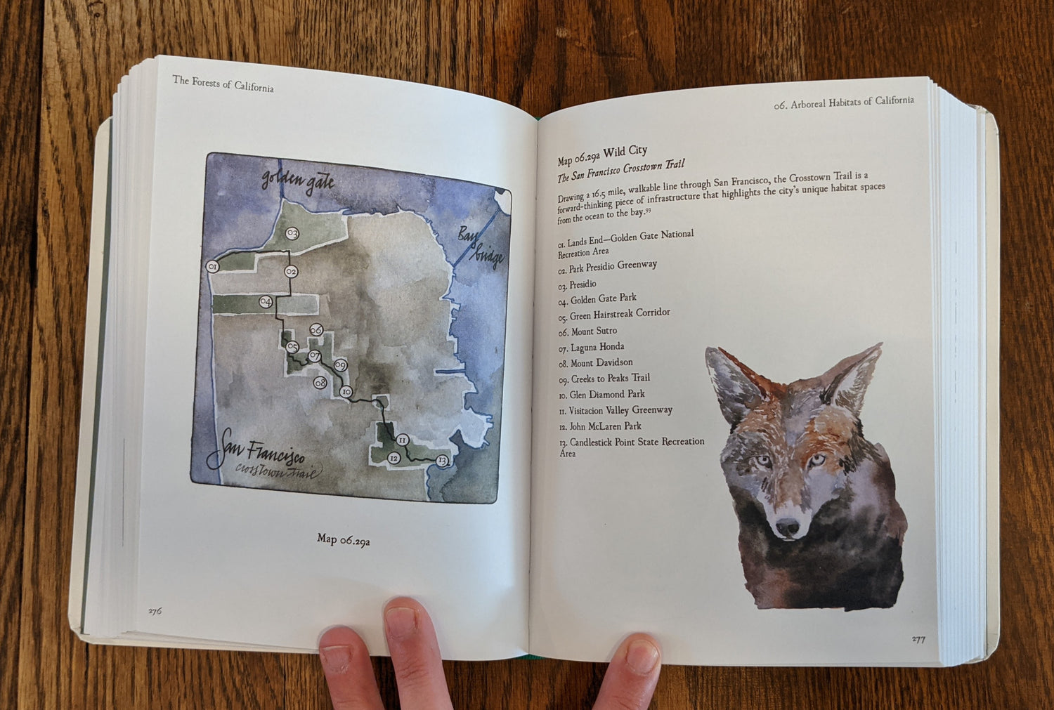 California Field Atlas Forests of California book page example by Obi Kaufmann