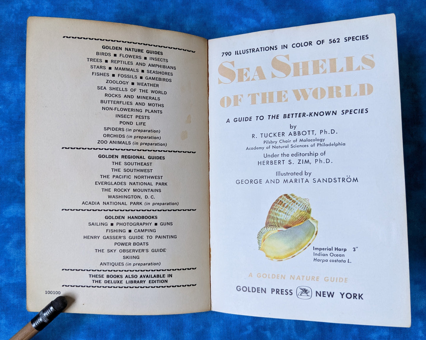 Sea Shells of the World vintage book title page