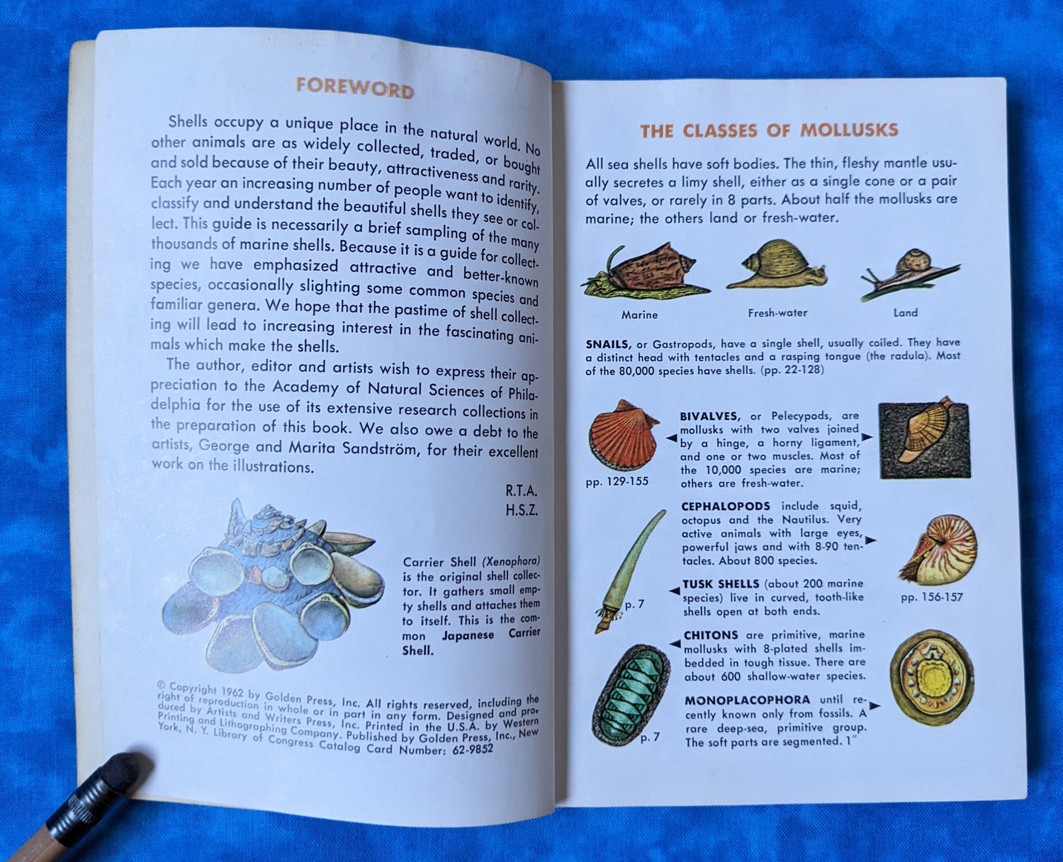 Sea Shells of the World vintage book foreword