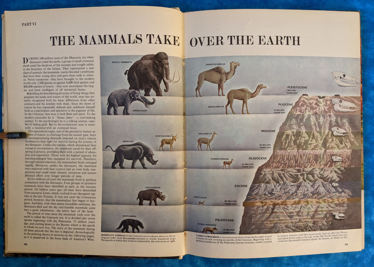 The World We Live In, Part 2: The Development of Life vintage book chapter example