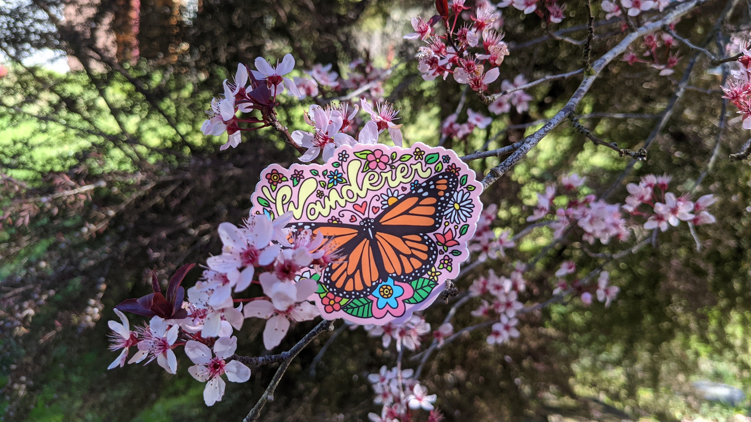 Spring Cleaning