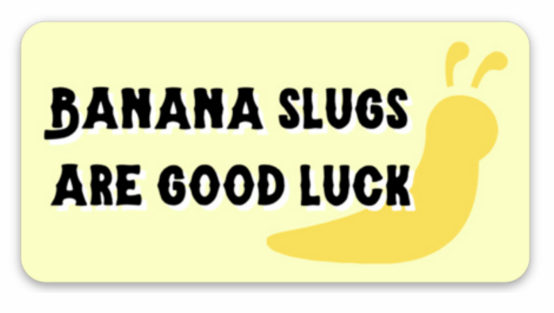 Banana slugs are good luck yellow rectangular sticker