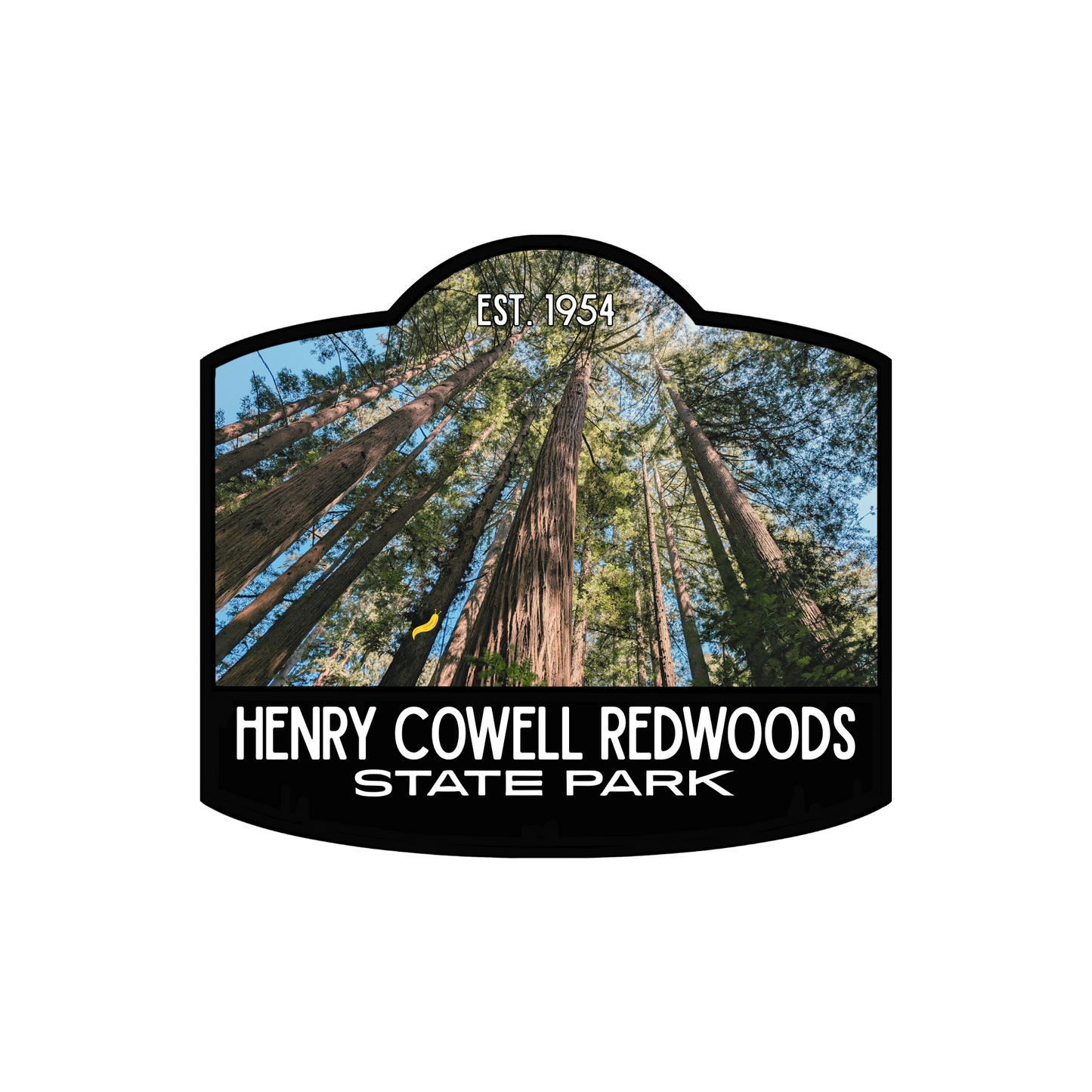 Henry Cowell Redwoods Photo Sticker