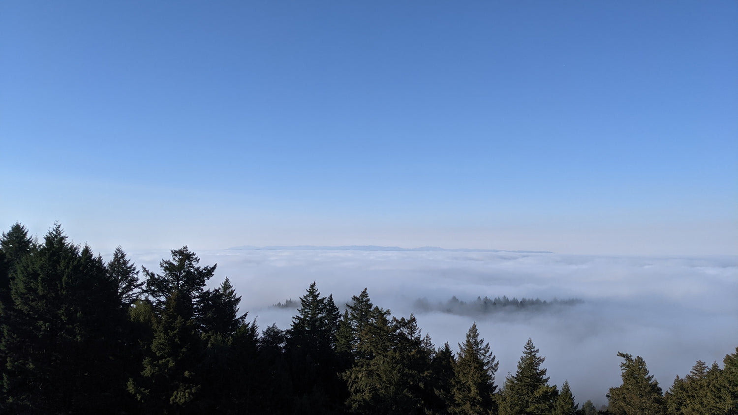 Foggy Mountain scene with blue skies