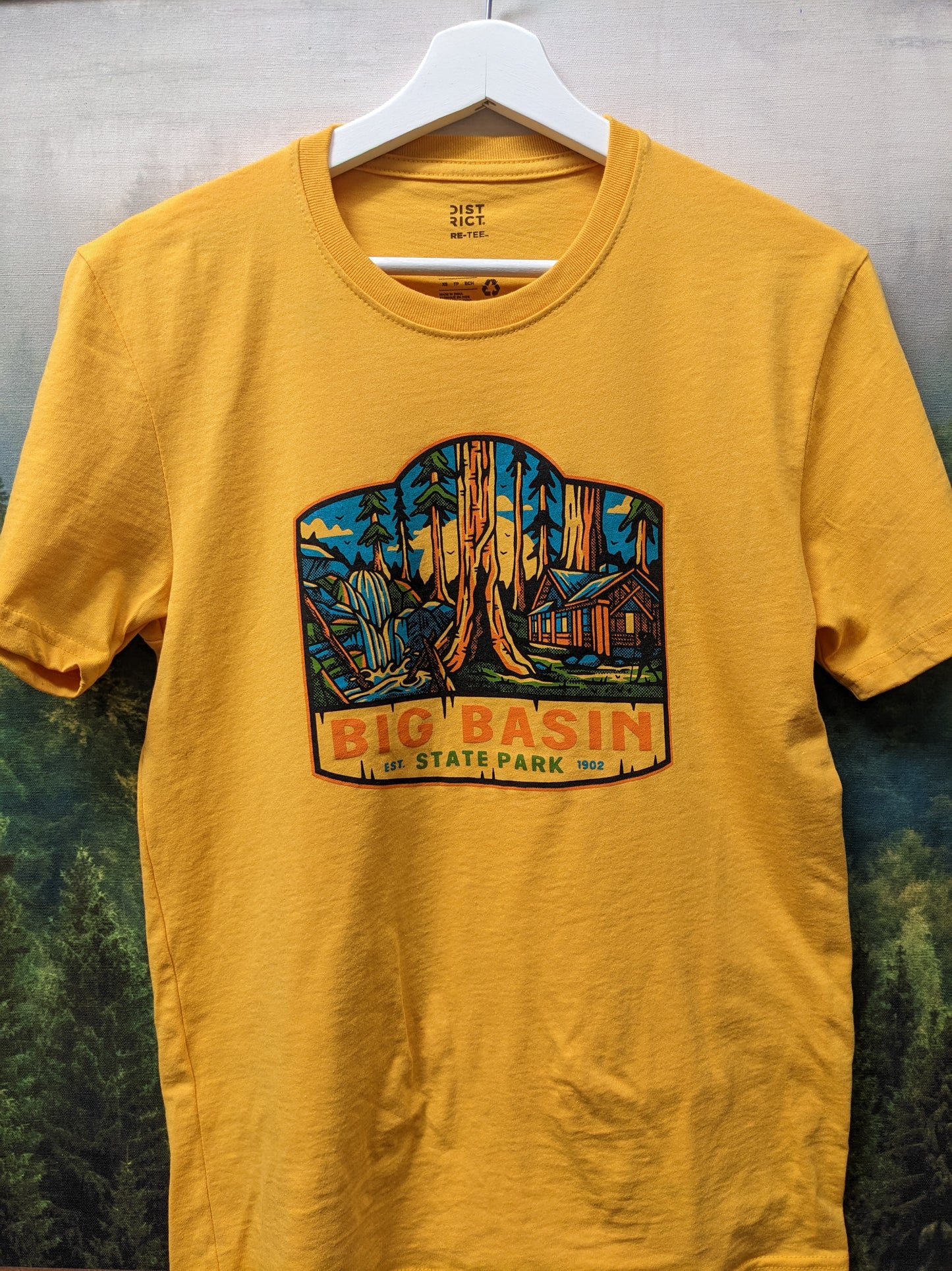 Yellow Big Basin t-shirt