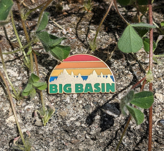 Big Basin pins with colorful mountain sunset in gold with rocky clover background