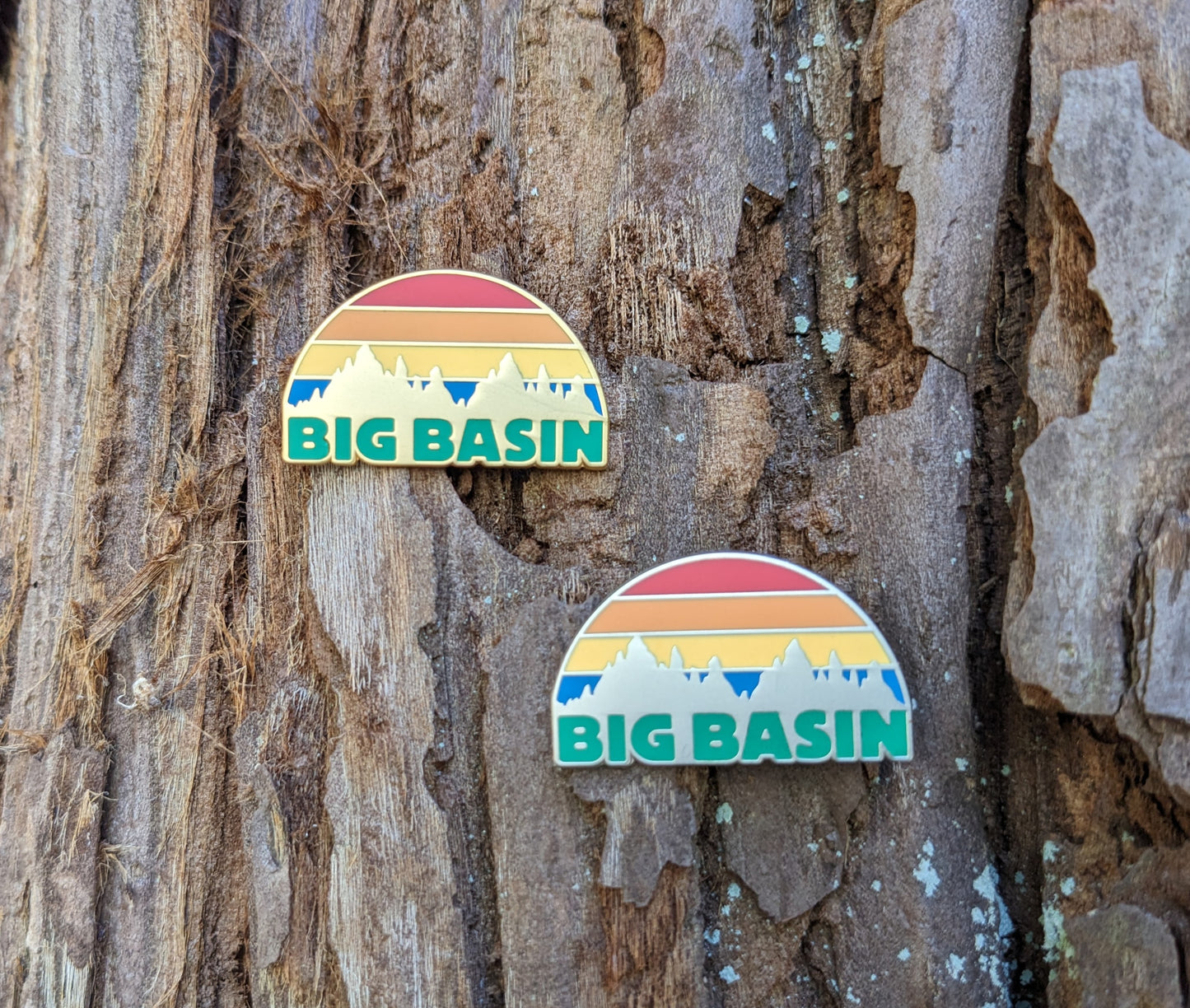 Big Basin Pin