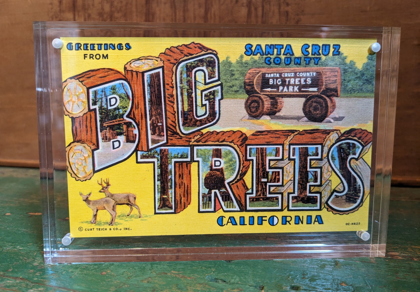 Antique Postcard: Big Trees Park
