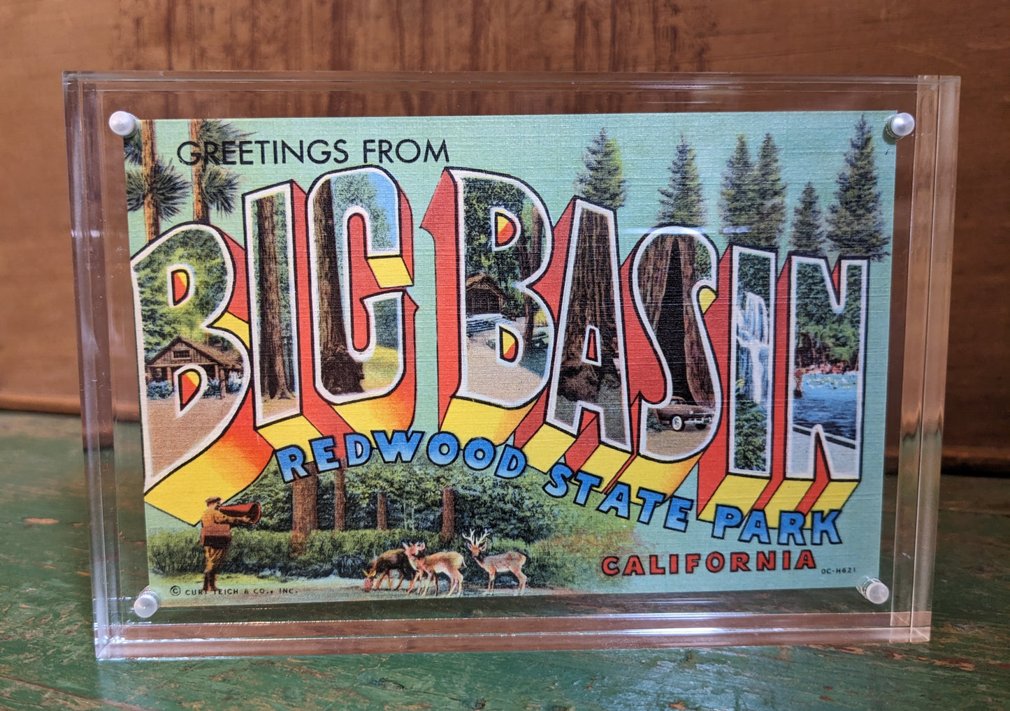 Antique Postcard: Big Basin