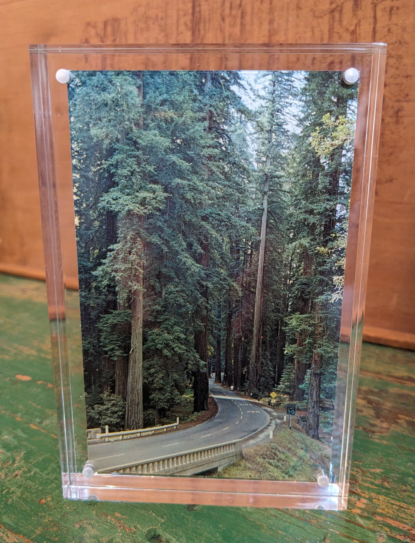 Antique Postcard: Redwood Highway