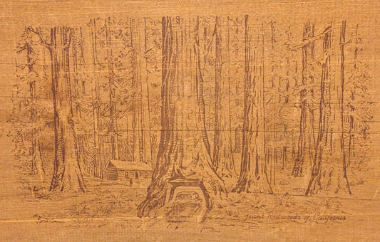 Antique Redwood Tray