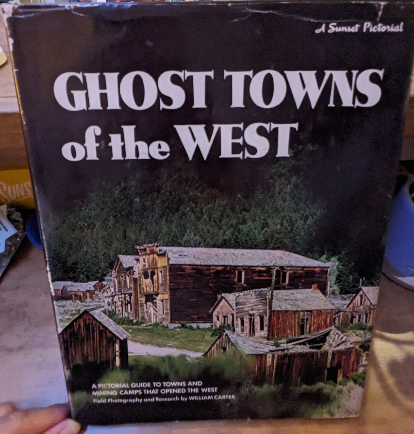 Vintage Book: Ghost Towns of the West