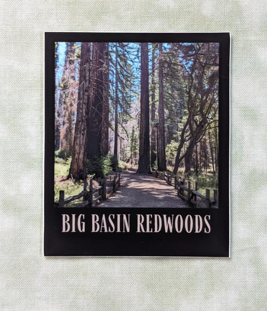 Black bordered sticker of photo of Big Basin Redwoods