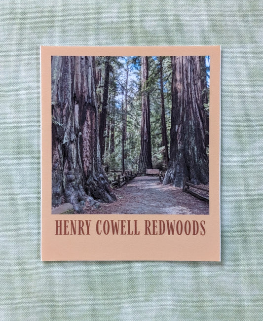 Brown bordered sticker of photo of Henry Cowell Redwoods 