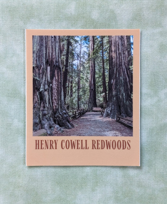 Brown bordered sticker of photo of Henry Cowell Redwoods