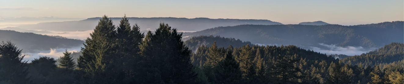 Foggy sunrise scene from the lookout on Highway 9 in the Santa Cruz Mountains