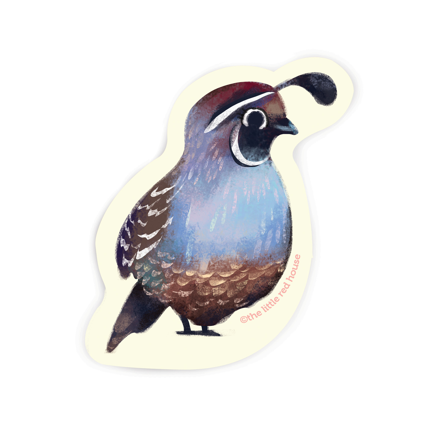 California quail sticker, by Little Red House