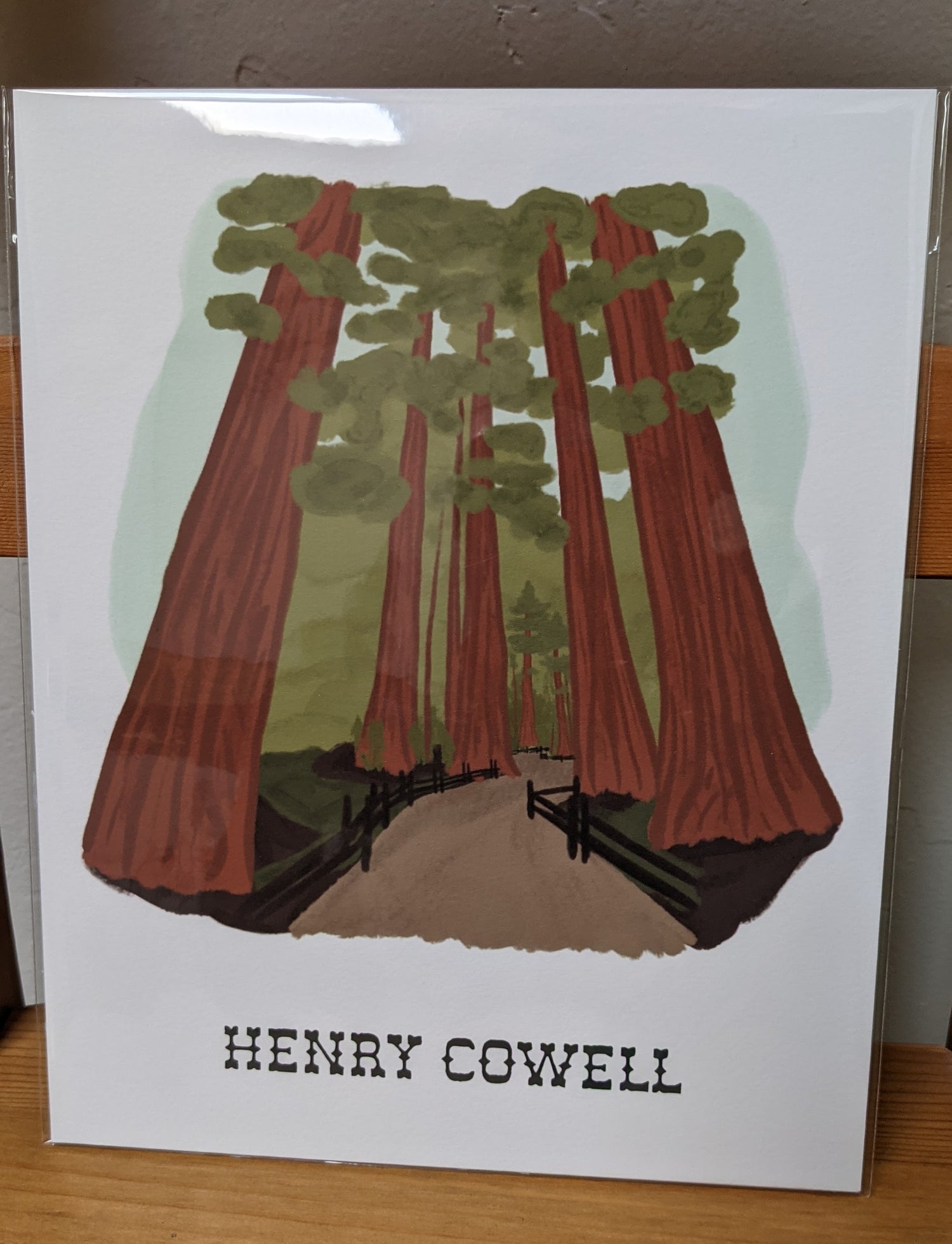 Henry Cowell illustrated print of redwood grove by Pau Hana Designs