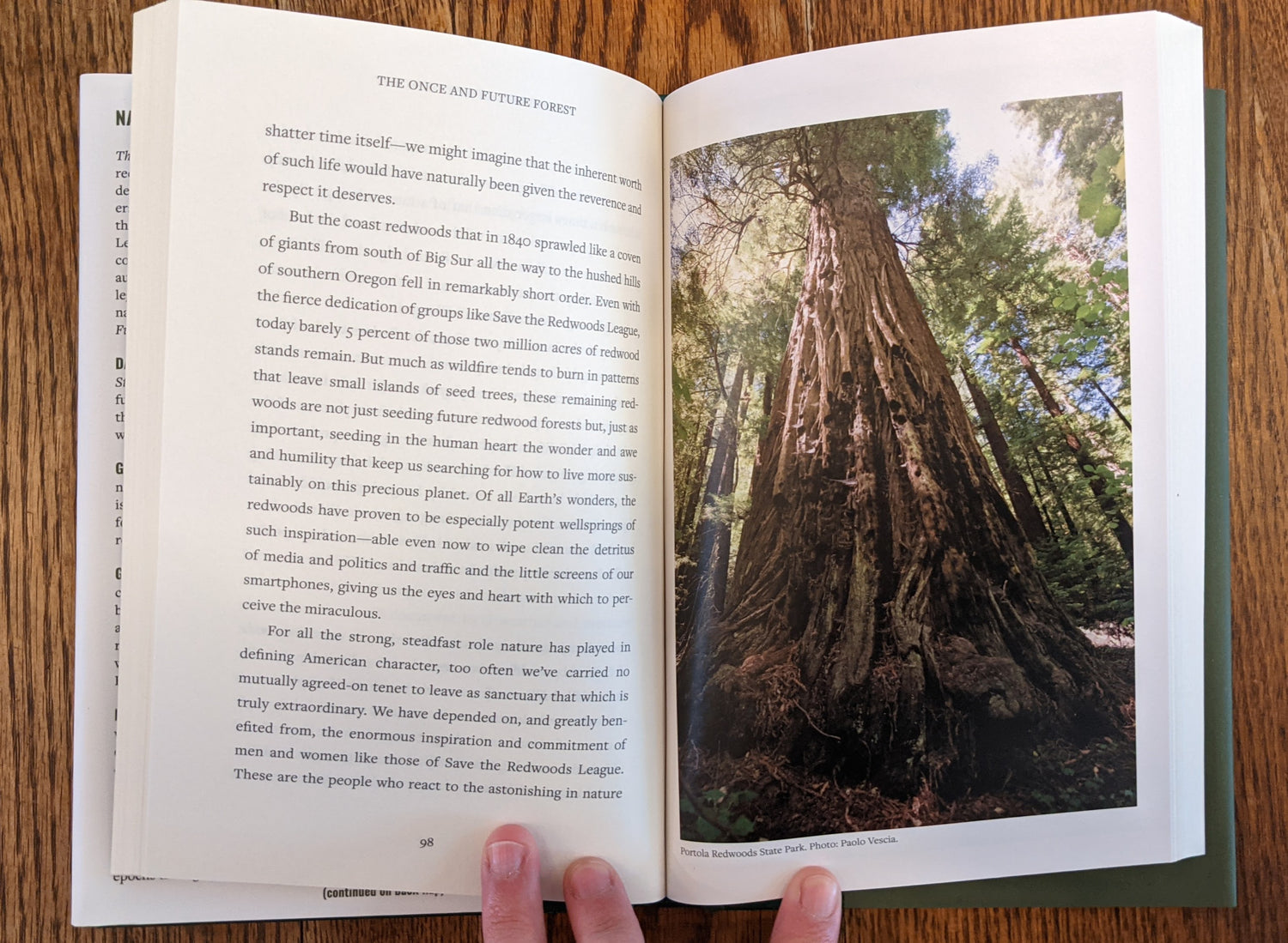 The One and Future Forest book page example by Save the Redwoods League