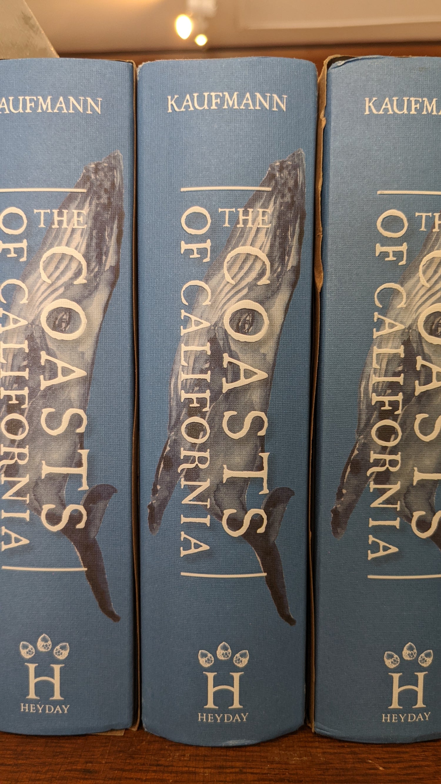 Spines of three Coasts of California Hardcover books by Obi Kaufmann