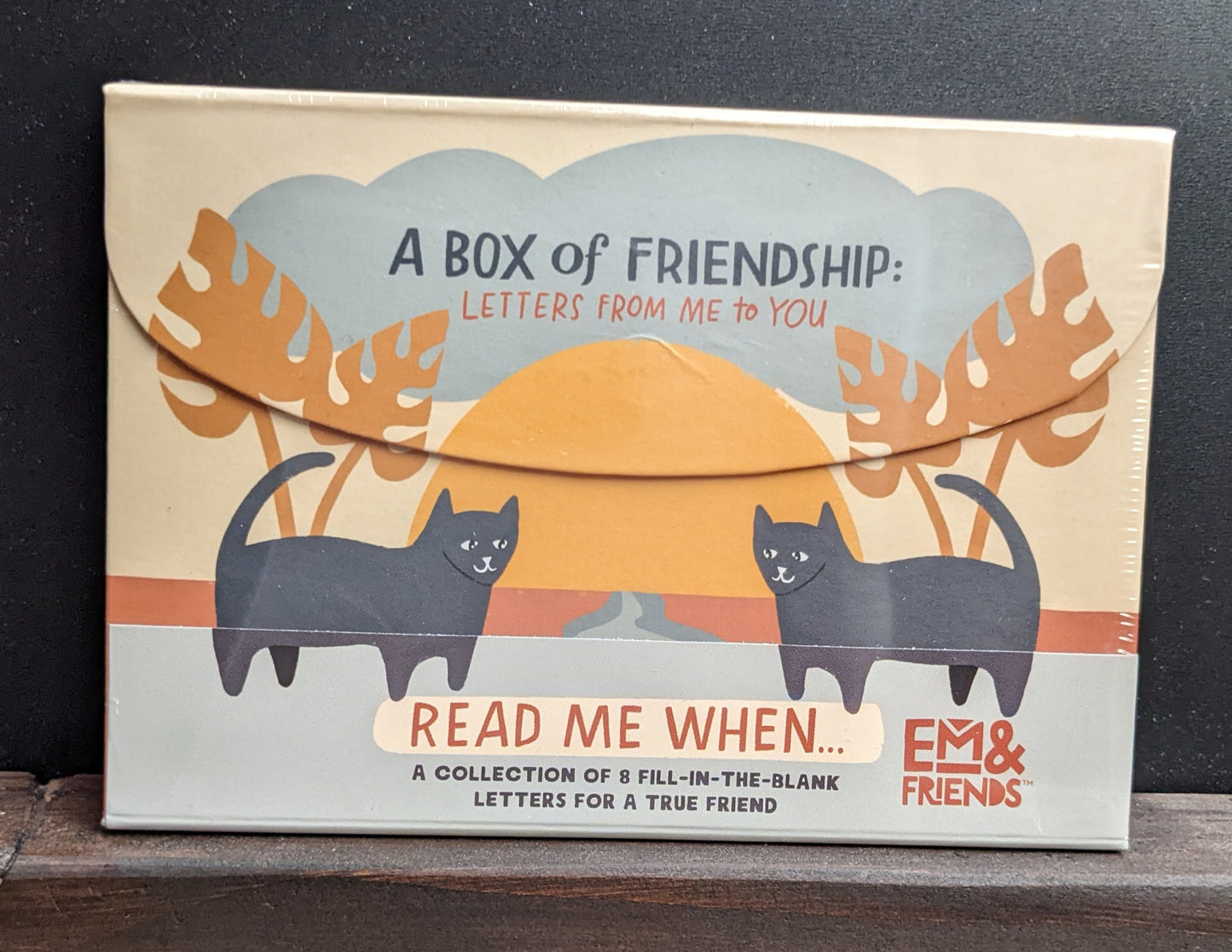 Box of Friendship: Letters from Me to You by Emily McDowell