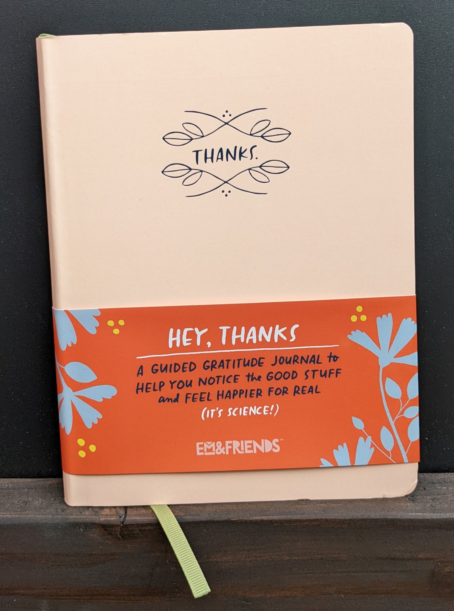 Guided Gratitude journal in light pink by Emily McDowell
