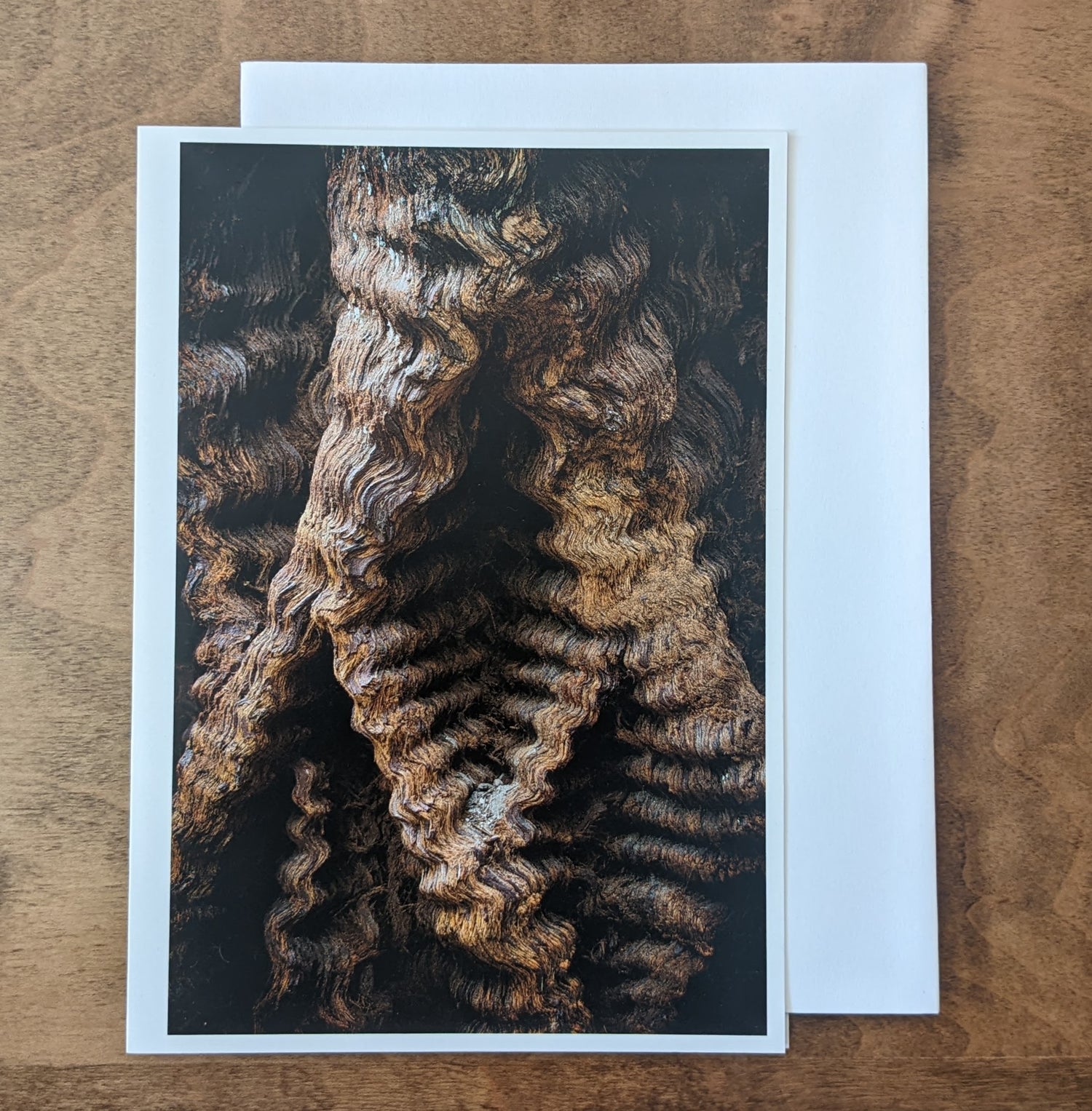Local photography card by Sean McLean with white envelope, design of redwood close up waves