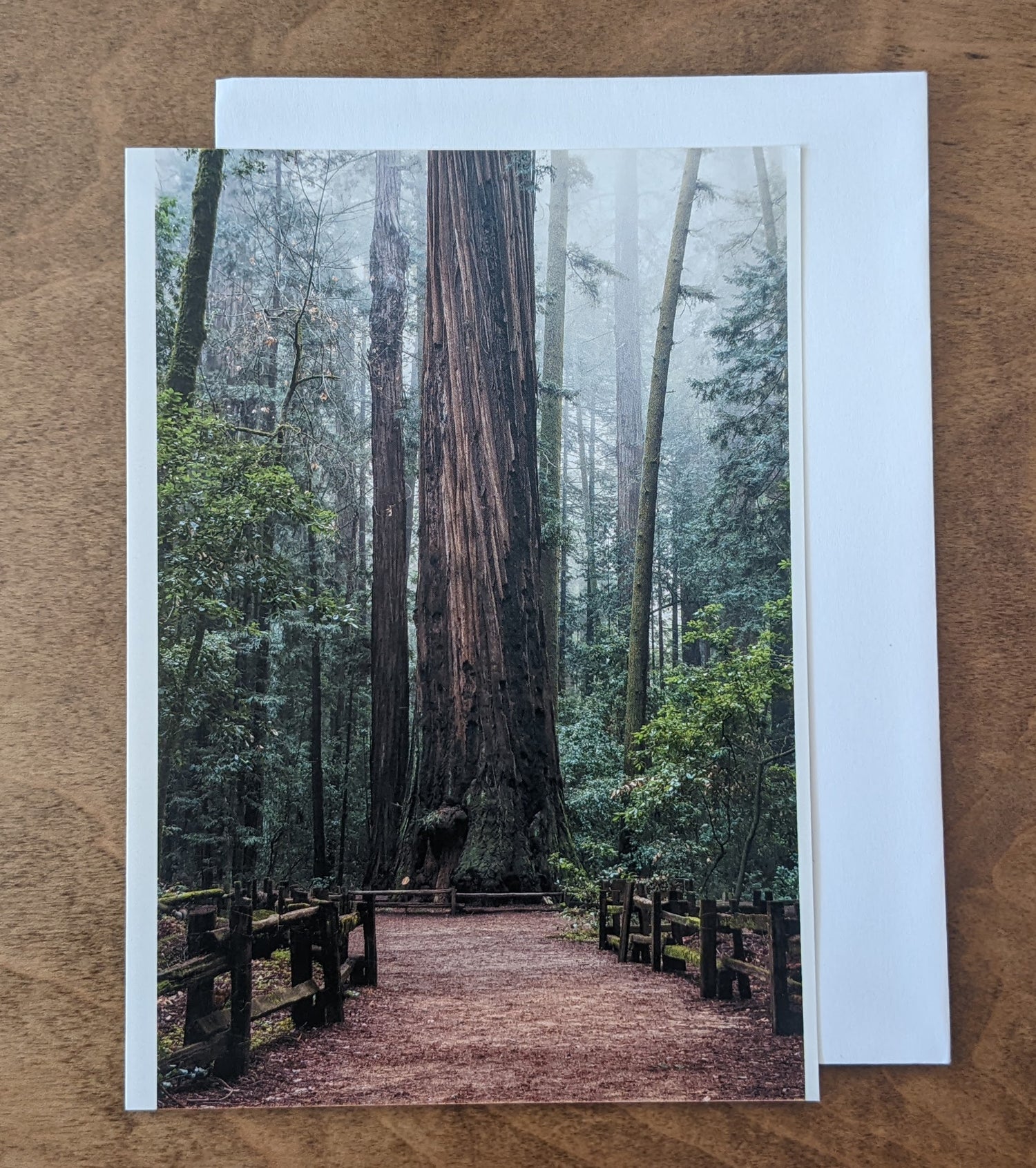 Local photography card by Sean McLean with white envelope, design of the general redwood old growth