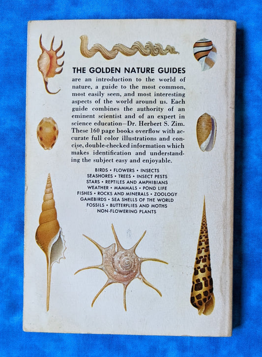 Sea Shells of the World vintage book back cover