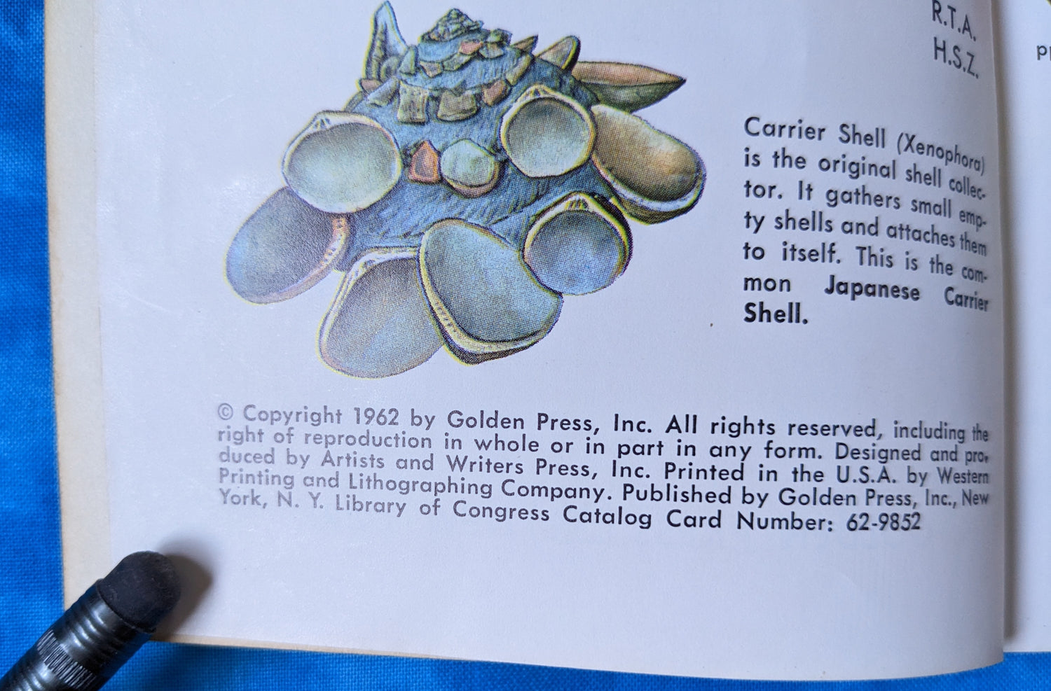 Sea Shells of the World vintage book publishing notes