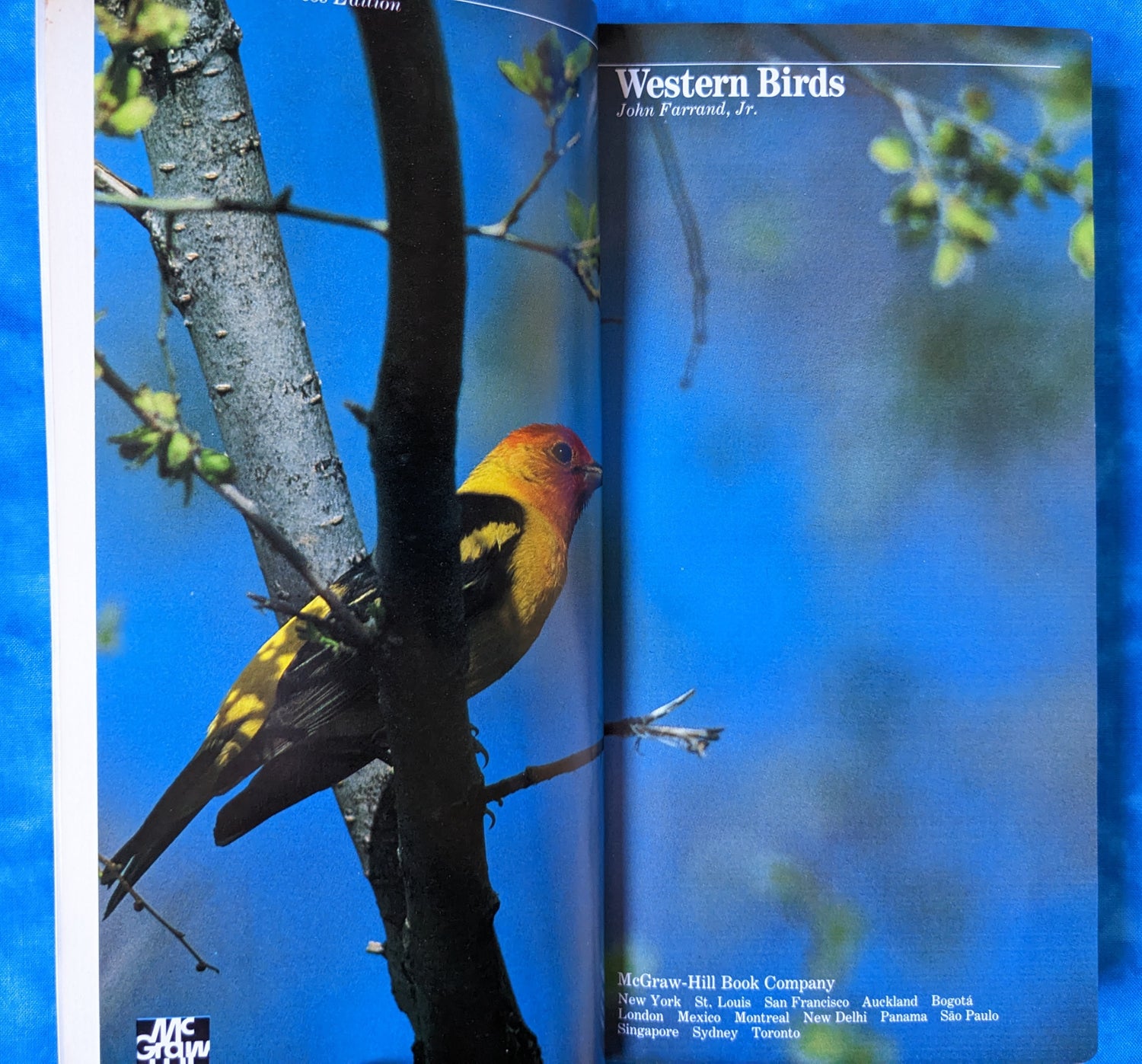 An Audubon Handbook: Western Birds vintage book title page