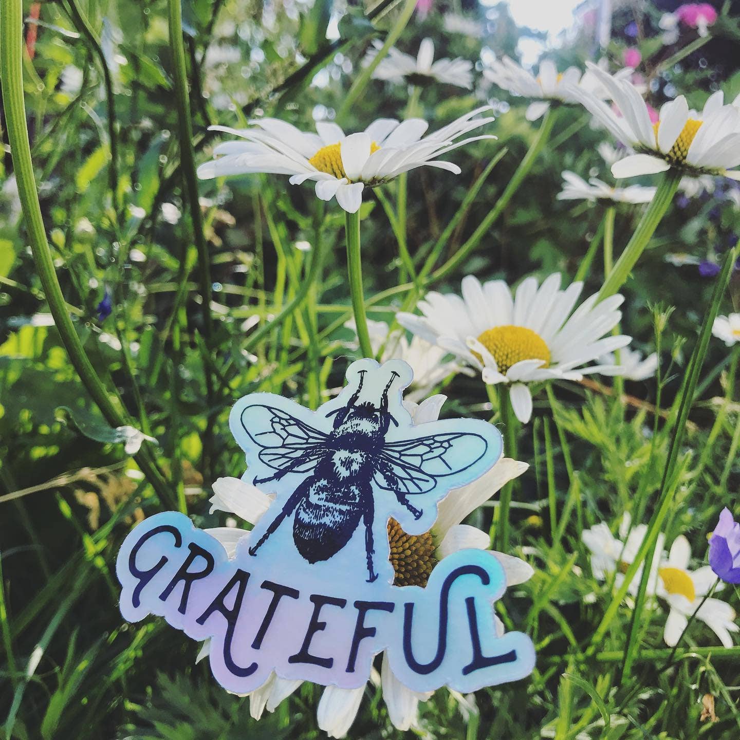 Bee Grateful Holographic sticker by Bee Happy Today